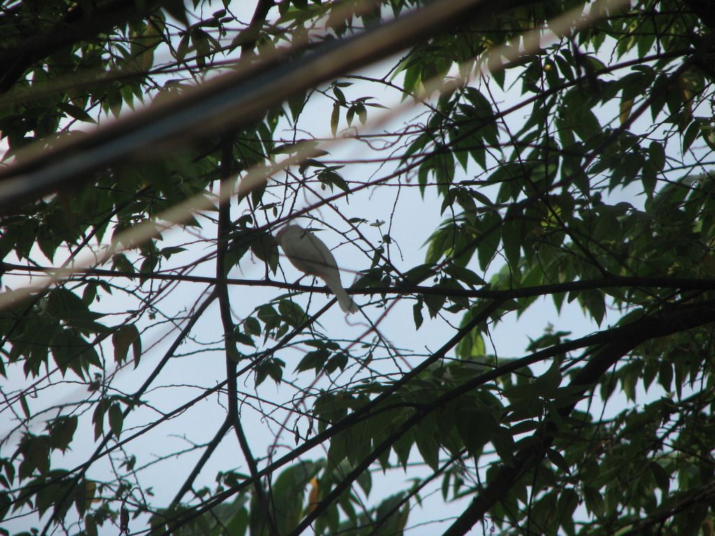 IMG_0192.jpg